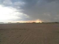DSC02446