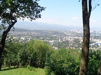 DSC02469