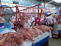 DSC02475