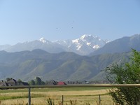 DSC02483