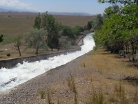 DSC02488