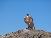 DSC02499