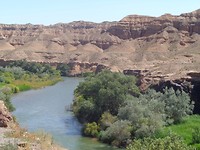 DSC02502