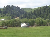 DSC02524