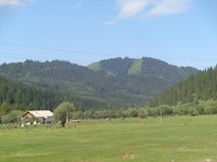 DSC02526
