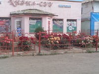 DSC02552