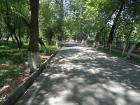 DSC02711