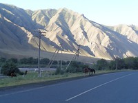 DSC02730