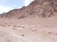 DSCN0466