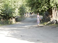 DSCN0629