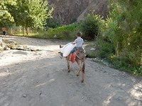 DSCN0637