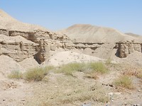 DSCN0685