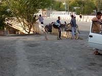 DSCN0698