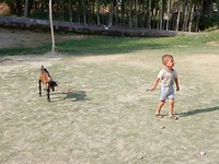 DSCN0778
