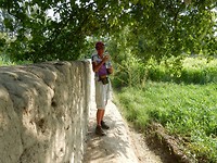 DSCN0782