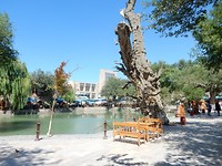 DSCN0791
