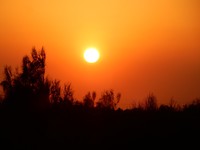DSCN0831
