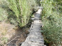 DSCN1467