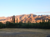 DSCN1471