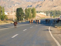 DSCN1472