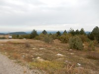 DSCN1630
