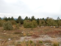 DSCN1632