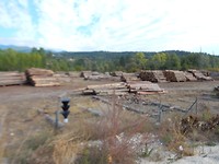 DSCN1634