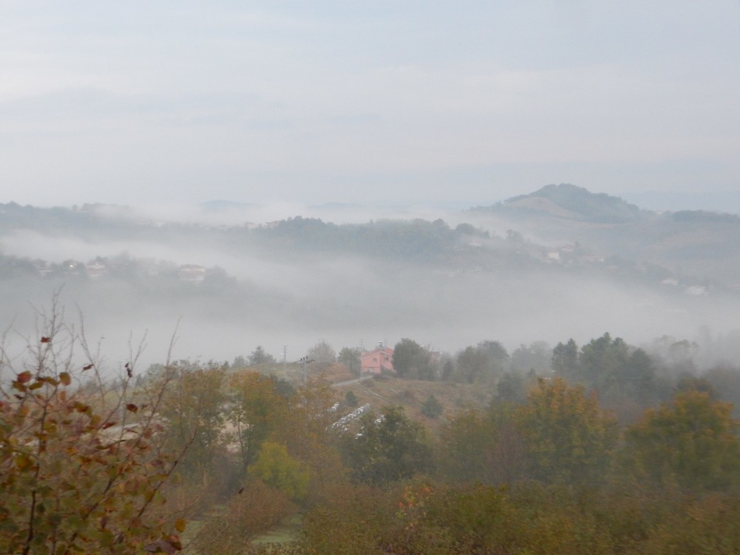 DSCN1679