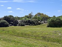 20251114_150007