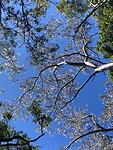 IMG-20251204-WA0006