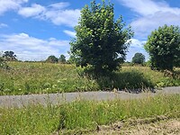 20260616_135321