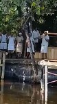 Okavango