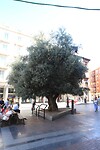 Valladolid0038