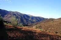 Orgiva0005