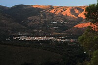 Orgiva0026