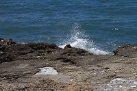 Kust0017