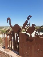 Hek bij Bezoekerscentrum Flamingo