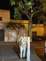 Mi marido onder de citroenboom