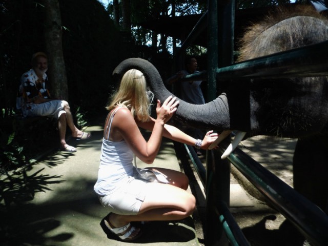 aai over de bol tijd! | Foto | Onze Java-Bali trip