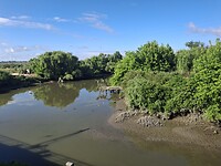 Mooie natuur