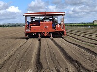 Machinaal planten