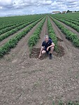 Voor de vele tomatenvelden