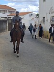 Paardenstadje