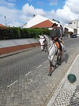 Paardenstadje