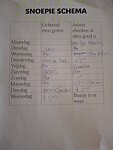 Schema van het konijntje