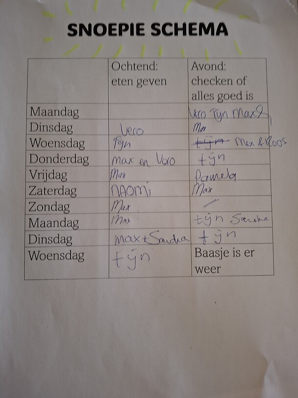 Schema van het konijntje