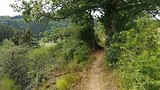 VID_20180717_120142