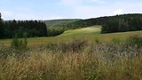VID_20180717_142511