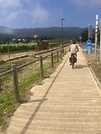 IMG_1992