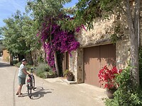 IMG_2015